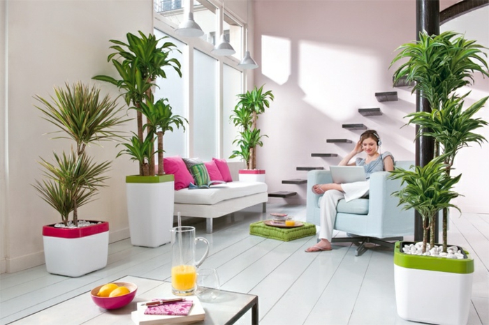 feng shui planten huis interieur planten palmbomen moderne minimalistisch