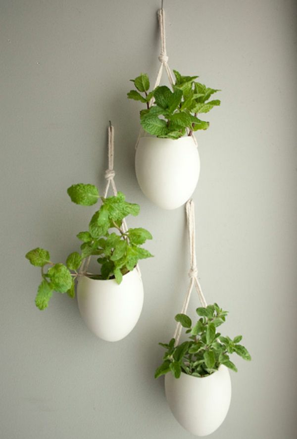 风水室内植物绿色生活理念创意wadgestaltung