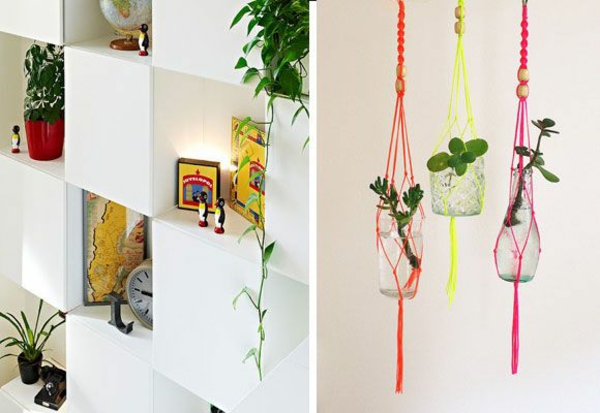 feng shui innendørs planter levende ideer tre hylle dekorasjon ideer