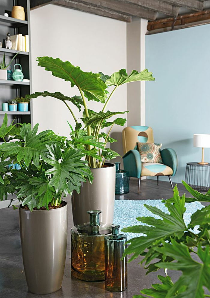 feng shui innendørs planter stue levende ideer positiv energi innendørs palmer
