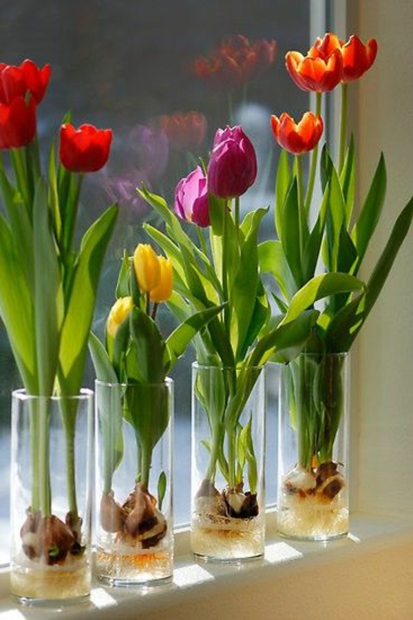 alféizar de la ventana decorar ideas flores tulipanes