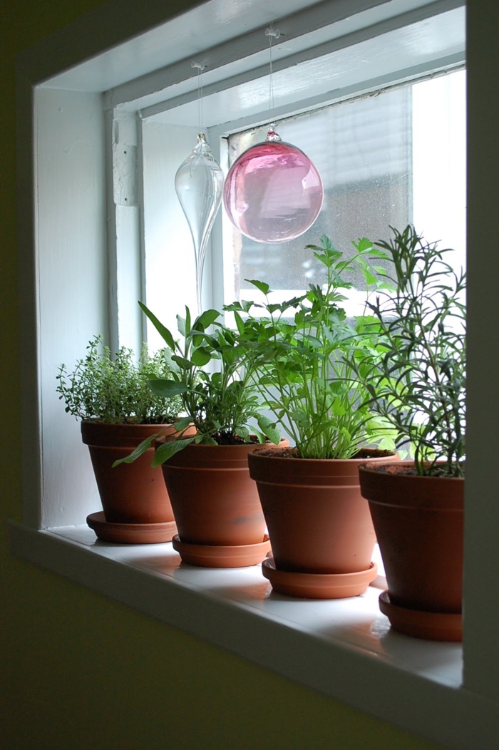 παράθυρο διακόσμηση βότανα διακόσμηση
