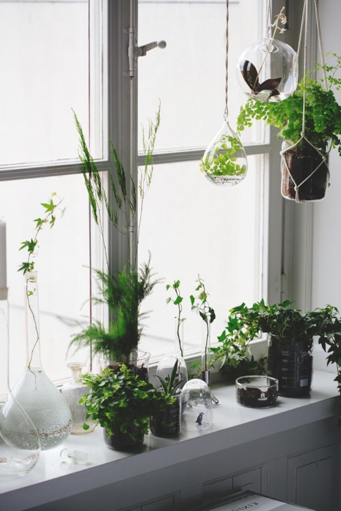 παράθυρα διακοσμητικά φυτά διακοσμητικά ιδέες