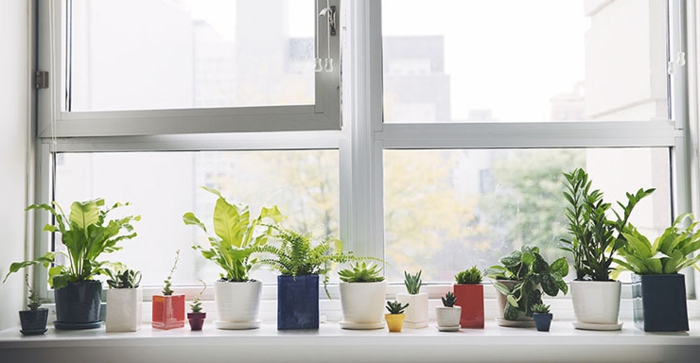 διακοσμητικά παράθυρα φυτά δημιουργικές ιδέες διακόσμησης