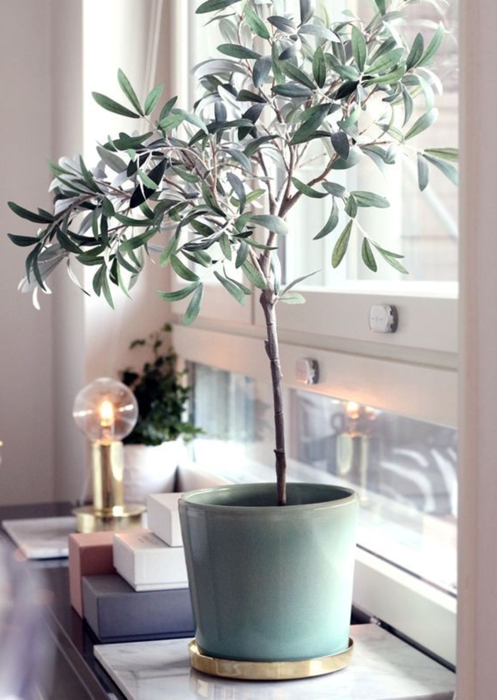 παράθυρο διακόσμηση δοχείο ποτ φυτών δροσερό κάδο φως