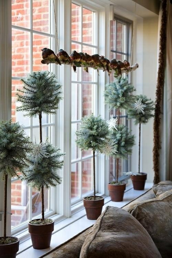 langų apdaila Kalėdų vazoniniai augalai Kalėdų langų apdaila