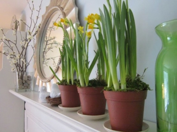 lente decoraties voor de takken van de mantel narcissen