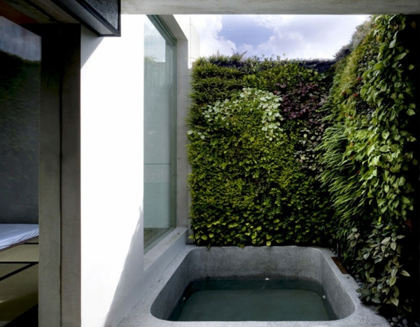 tuore arkkitehtuuri puutarhassa pystysuora takapiha kylpyamme
