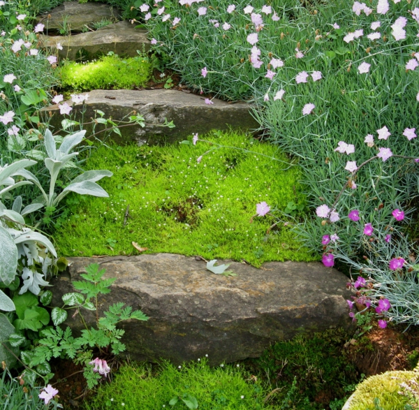 在斜坡上的花园创建园林植物假山楼梯草坪