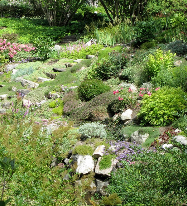 花园创造现代园林设计思想的石头植物