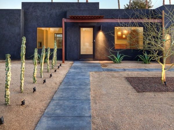 idées de conception de jardin moderne jardin design cactus éclairage béton