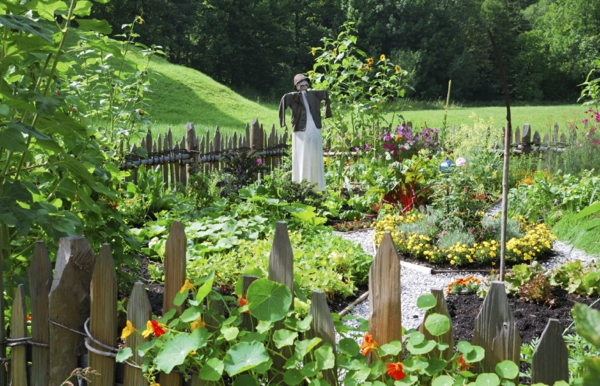 jardin potager idées de jardin cour