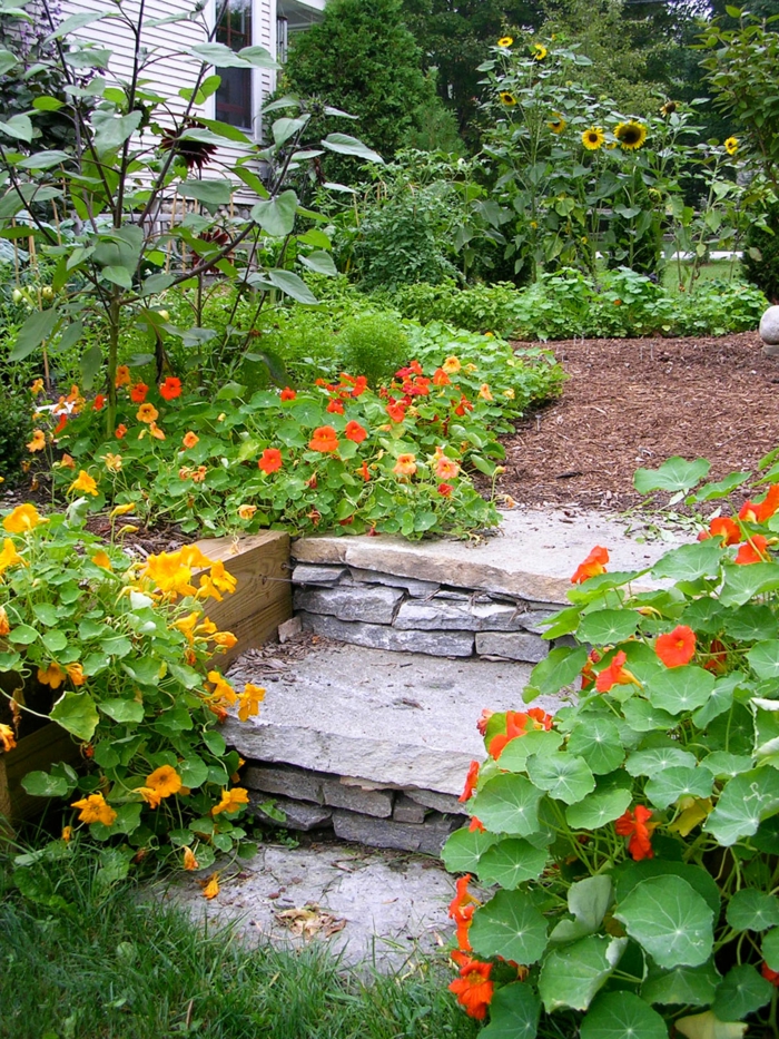 tuin ontwerp gekleurde tuin ideeën tuin trap steen