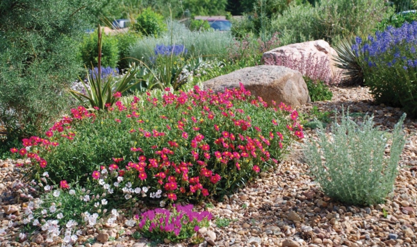ιδέες κήπου τοπίου πολυετή φυτά θερινών λουλουδιών