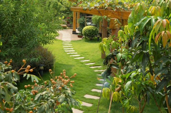 градински идеи озеленяване пътека градинарство пергола