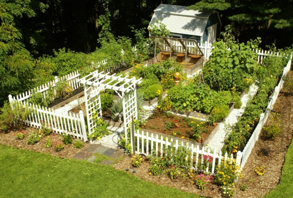 κήπος ιδέα κήπο πέργκολα κήπο λαχανικών σχεδιασμός