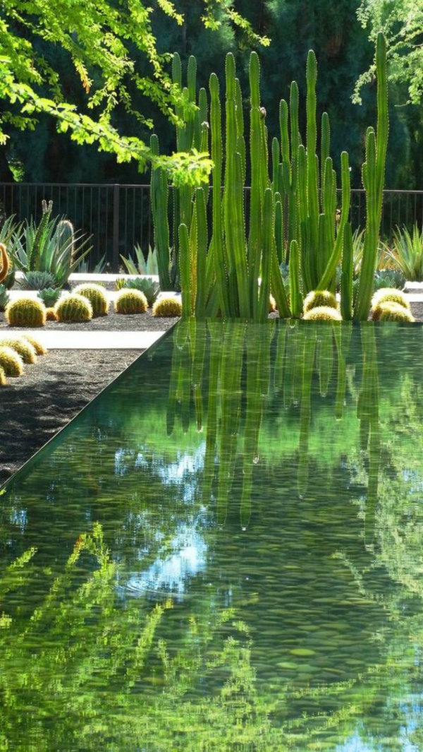 κήπος ιδέες κάκτοι εξωραϊσμού νερό λίμνη κήπο
