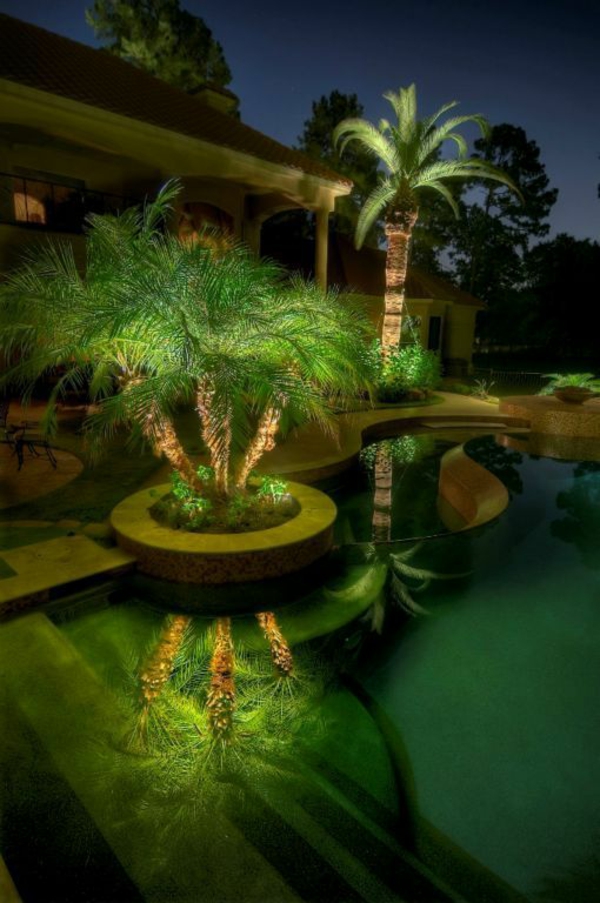 zahradní plán zdarma zahradní návrháři v noci osvětlení palmy