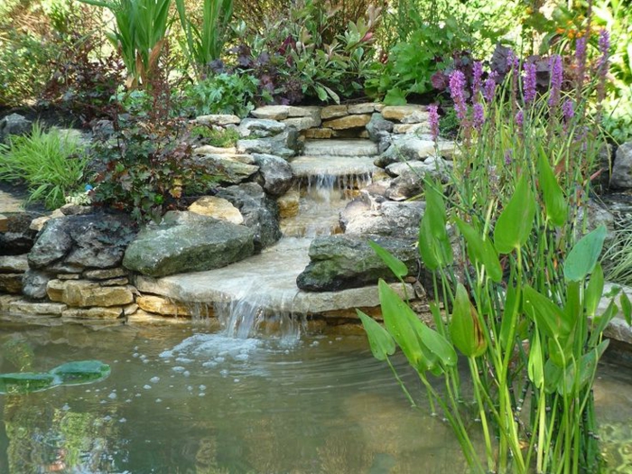 κήπος καταρράκτη οικοδομήσουμε πέτρες νερό φυτά φύση
