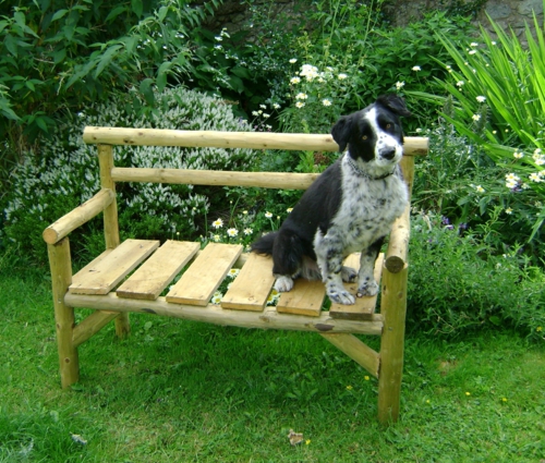 κήπος πάγκο αυτοτεχνία σχέδιο άνοιξη σχεδιασμό ξύλο σκυλί μέταλλο