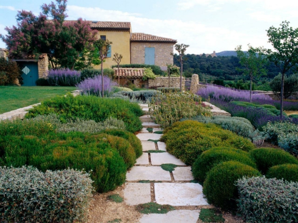 градинарство средиземноморски растения каменни плочи лавандула билки