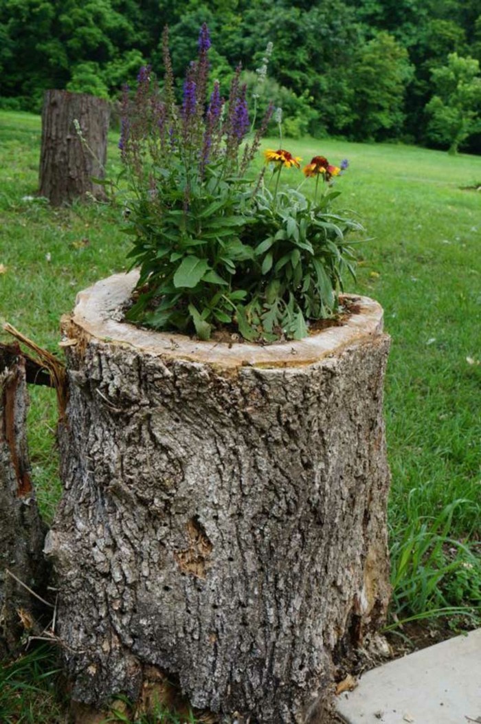גינה קישוט crafting חומרים טבעיים כדי להמיר עץ גדם לתוך המטעים