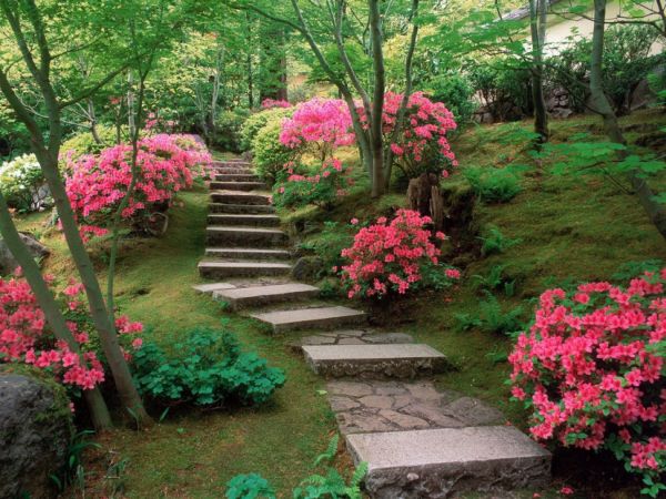 градина дизайн занаяти идеи градина декорации цветя разходка стълби