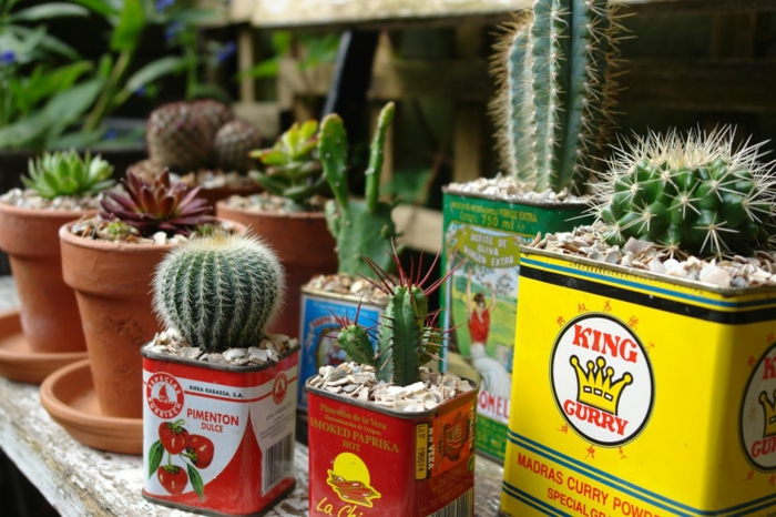 jardinage de vieilles boîtes de conserve diy planteurs eux-mêmes font cactus succulentes
