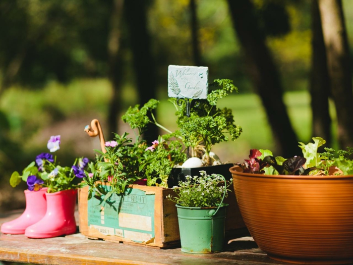 jardinage vieilles bottes pour enfants boîtes de conserve pot de fleurs boîte en bois fleurs à base de plantes