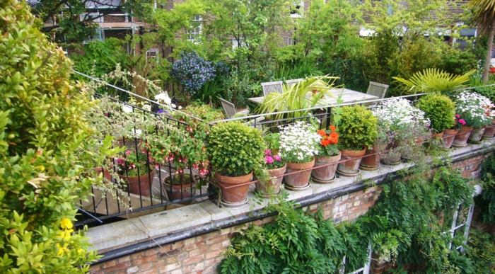zahradnické příklady zahradnické nápady chillig