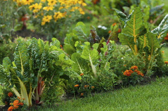 puutarhanhoito esimerkkejä puutarhanhoito ideoita chillig