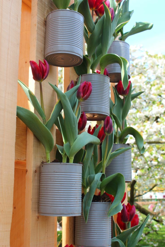 jardinage boîtes de conserve jardin clôture décoration tulipes