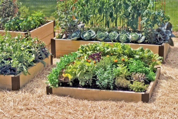 tuinontwerp creëer gunstige tuinideeën met houten planken en een verspreide moestuin