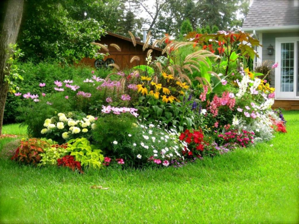 градинарство градина идеи трайни насаждения растения цветя тревата