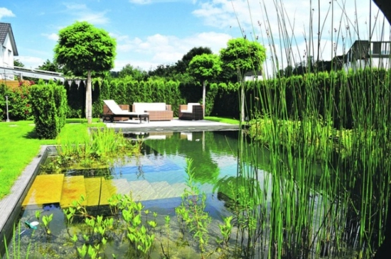 εξωραϊσμός αυλή εξωραϊσμού κήπος ιδέες σχεδιασμού κήπο λίμνη πισίνα υδρόβια φυτά
