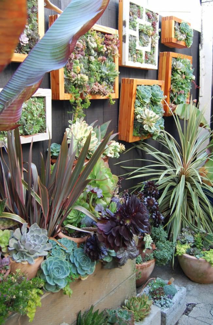 tuinieren houten dozen diy decoratie ideeën wanddecoratie sappige cactussen