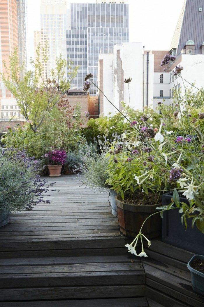 idées de jardinage ville style plantes terrasse design