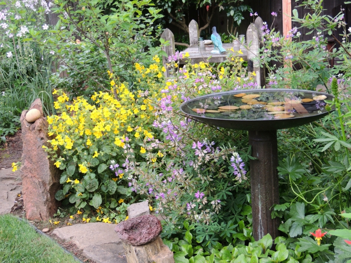puutarhan ideoita puutarhakasvit värillinen vesi puutarha sisustus