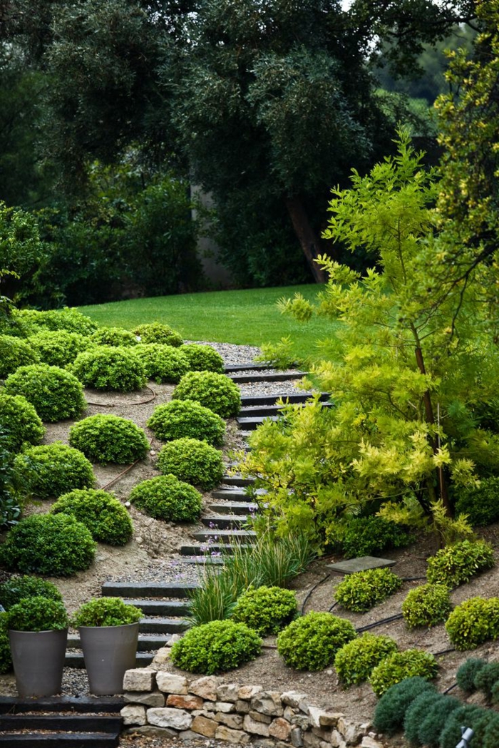 花园想法花园楼梯植物的石头