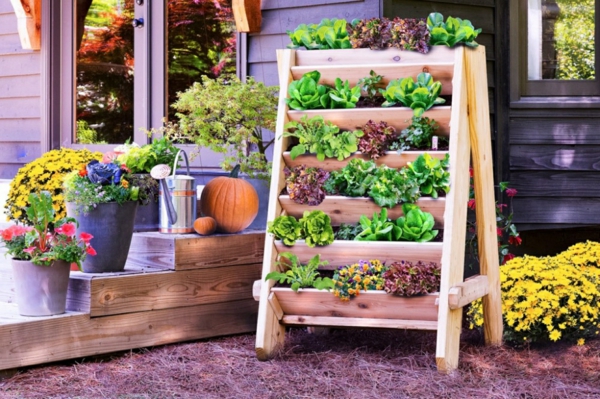 idées de jardinage légumes de jardin vert en pot fleurs jardin