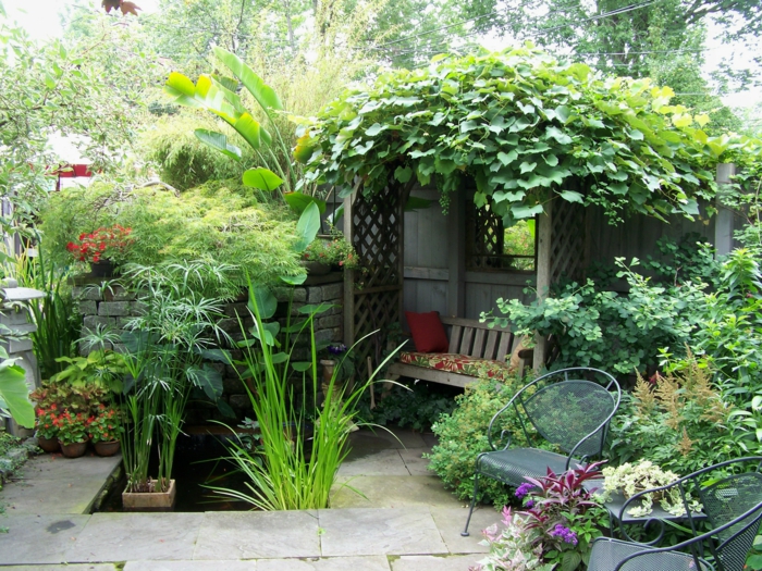 jardinage petit étang plantes de jardin meubles de jardin