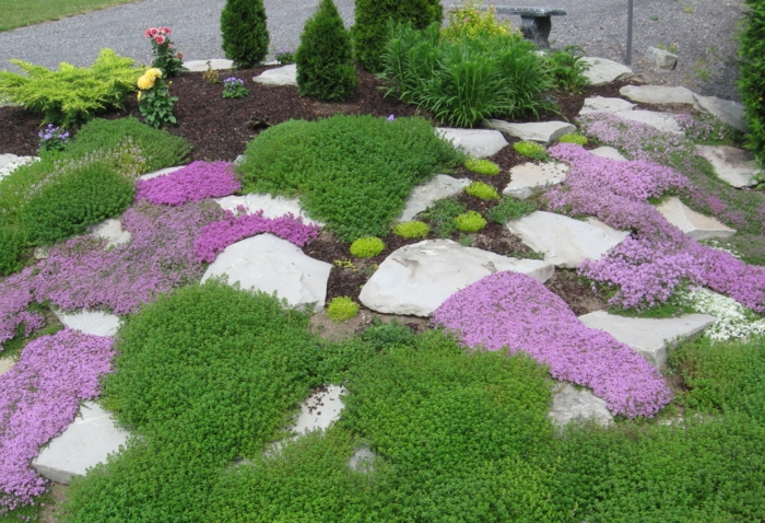 градинарство с камъни градина растения камъни трева