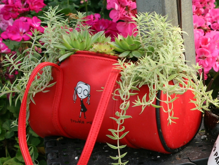 gardening planters old bag succulents