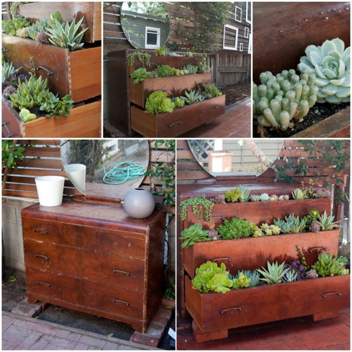 make sukkulenten vintage dresser planter yourself