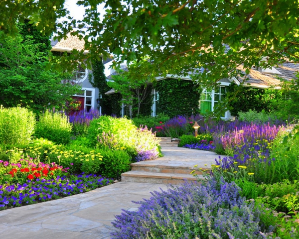 форма красива естетически наситена градина озеленяване градина украсяват