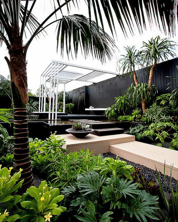 花园设计理念美丽的花园园艺棕榈树