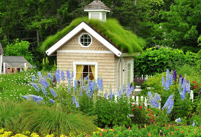 花园房子的想法花园凉亭自建木房子夏天的花朵