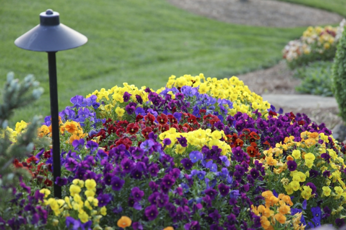 ιδέες κήπου ιδέες κήπου σχεδιασμού κήπο φώτα χρωματιστά λουλ