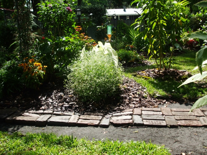 花园的想法花园路径形状想法植物外部