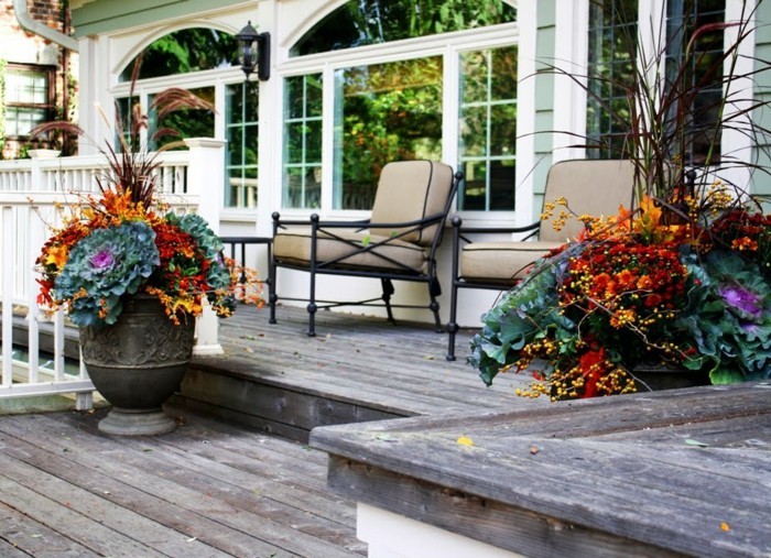 градински идеи есенно настроение създаване на карфиол декоративни есенни цветя вход